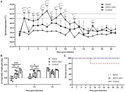 Characterization of Rongchang piglets after infection with type 2 porcine reproductive and respiratory syndrome virus strains differing in pathogenicity